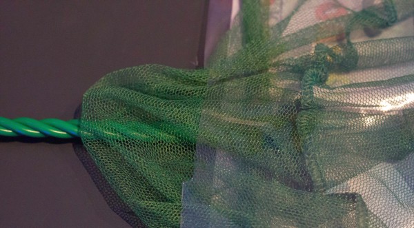 Fischfangnetz / Kescher 8 cm, grün grob